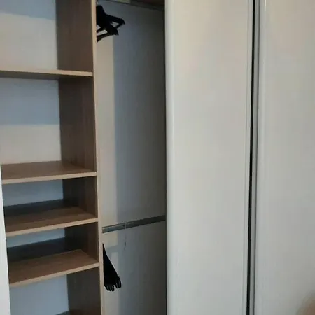 Le Chant Des Mouettes